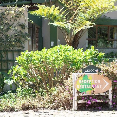 סטורמסריבייר Andelomi Forest Lodge מראה חיצוני תמונה